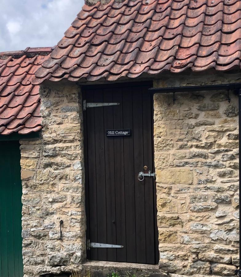 ثورنتون دالي Hill Cottage, Thornton-Le-Dale المظهر الخارجي الصورة